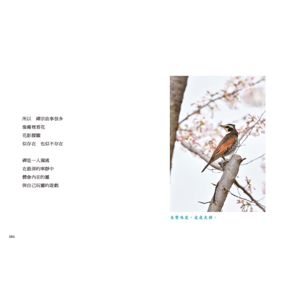 【樂在生活館】和平國際 心不著墨，隨便想想-細節圖7