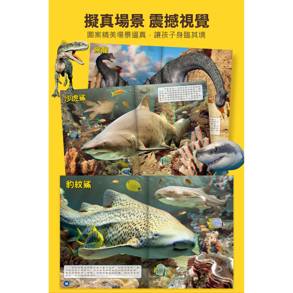 【樂在生活館】風車 史前帝國．恐龍聯盟9786267496572-細節圖8