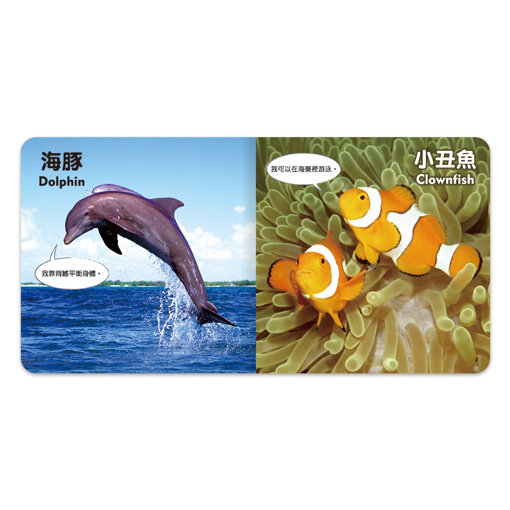 【樂在生活館】世一 聰明寶貝翻翻書系列-海洋生物厚紙書B613004-細節圖2