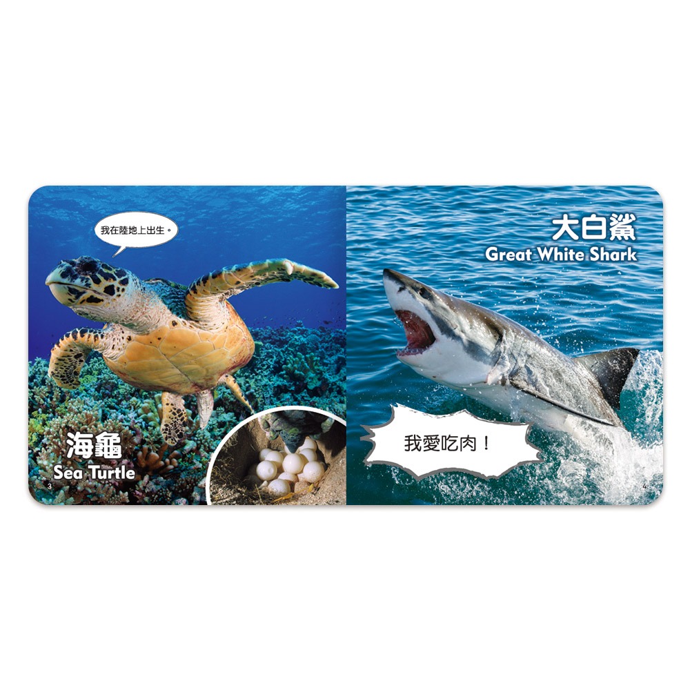 【樂在生活館】世一 聰明寶貝翻翻書系列-海洋生物厚紙書B613004-細節圖3