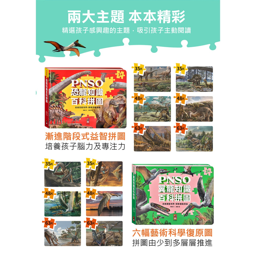 【樂在生活館】風車 PNSO知識百科拼圖系列：-細節圖2