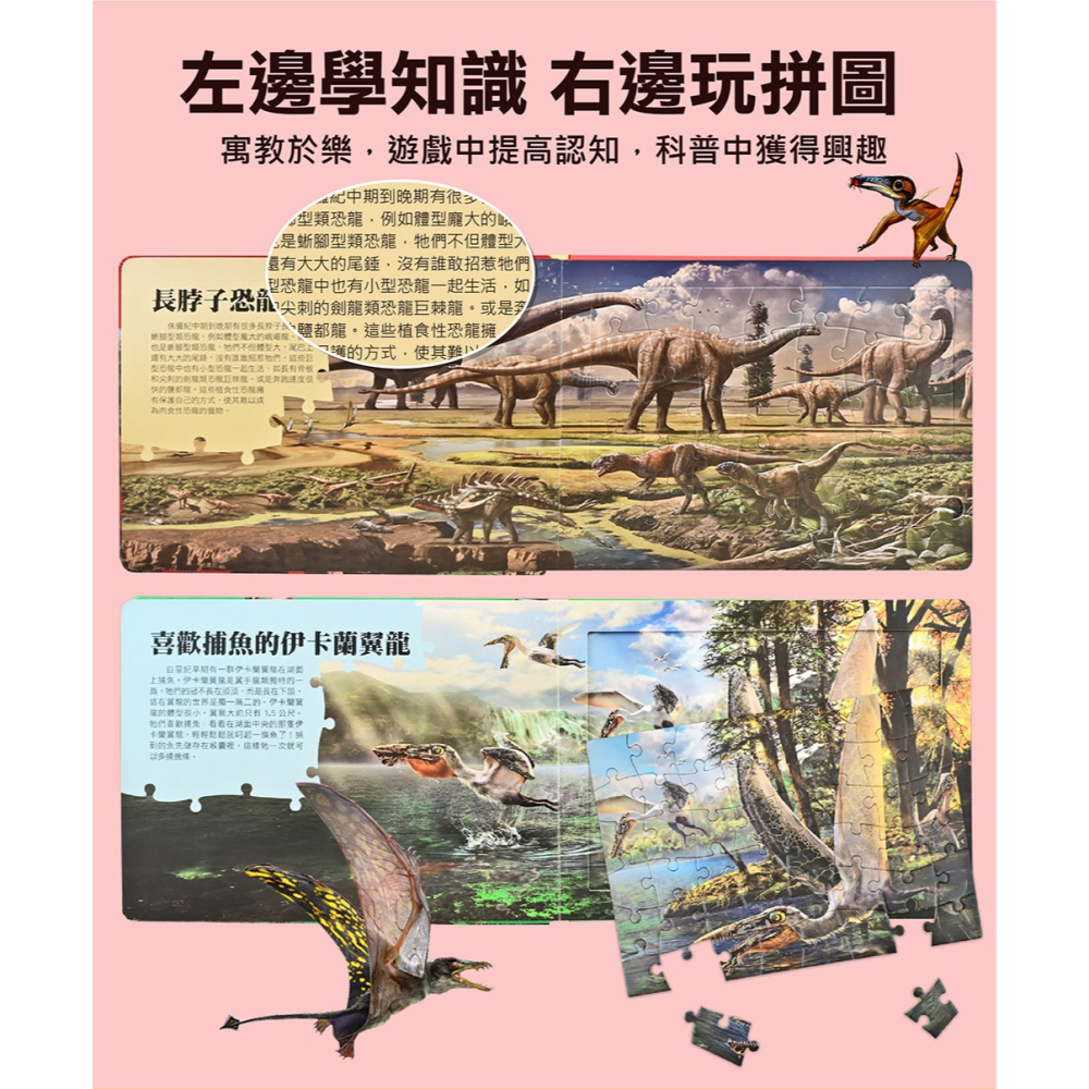 【樂在生活館】風車 PNSO知識百科拼圖系列：-細節圖3