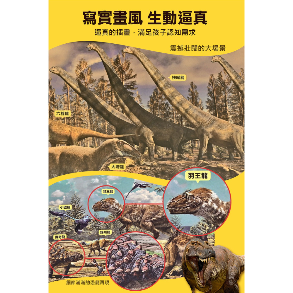 【樂在生活館】風車 PNSO知識百科拼圖系列：-細節圖4