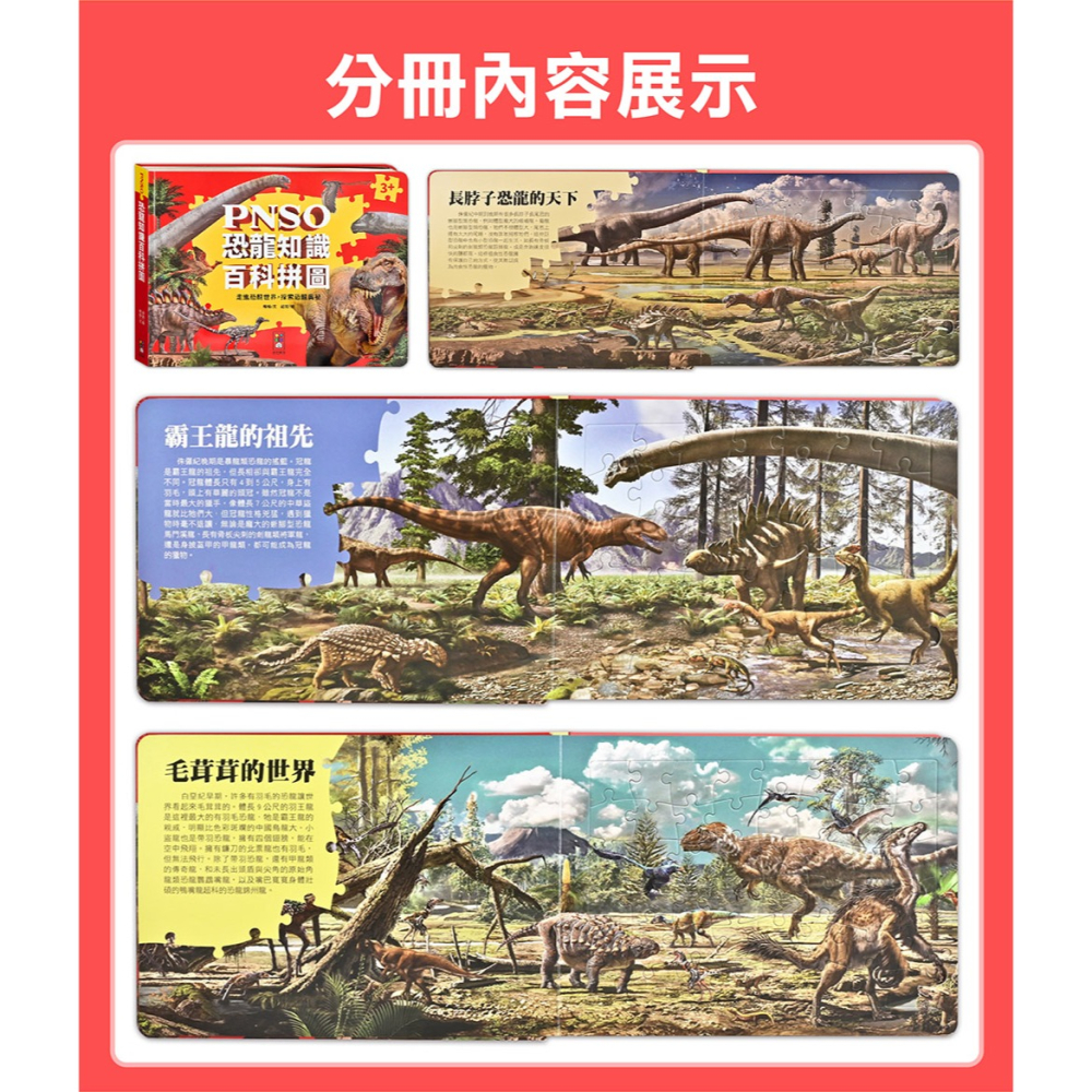 【樂在生活館】風車 PNSO知識百科拼圖系列：-細節圖7