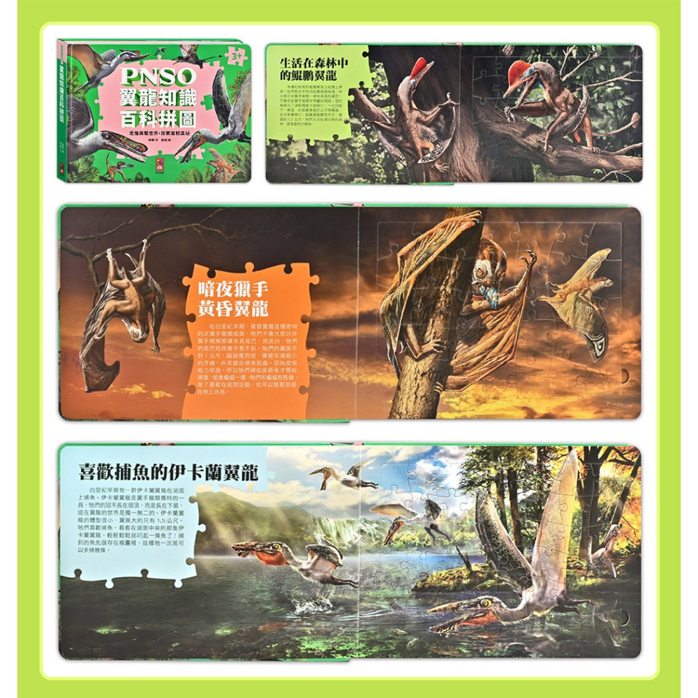 【樂在生活館】風車 PNSO知識百科拼圖系列：-細節圖8