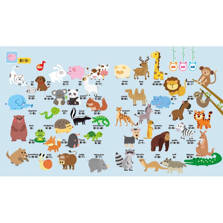 【樂在生活館】双美 手指點讀有聲書系列-認知百科圖鑑（內含3語發音+23個生活主題+550個詞語）-細節圖2
