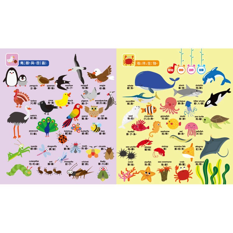 【樂在生活館】双美 手指點讀有聲書系列-認知百科圖鑑（內含3語發音+23個生活主題+550個詞語）-細節圖3