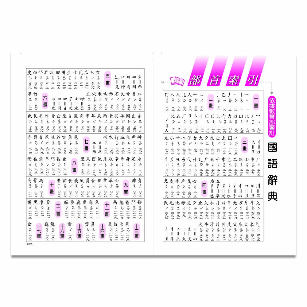【樂在生活館】世一 (25K)新編實用國語辭典:精裝 B5165-1-細節圖3