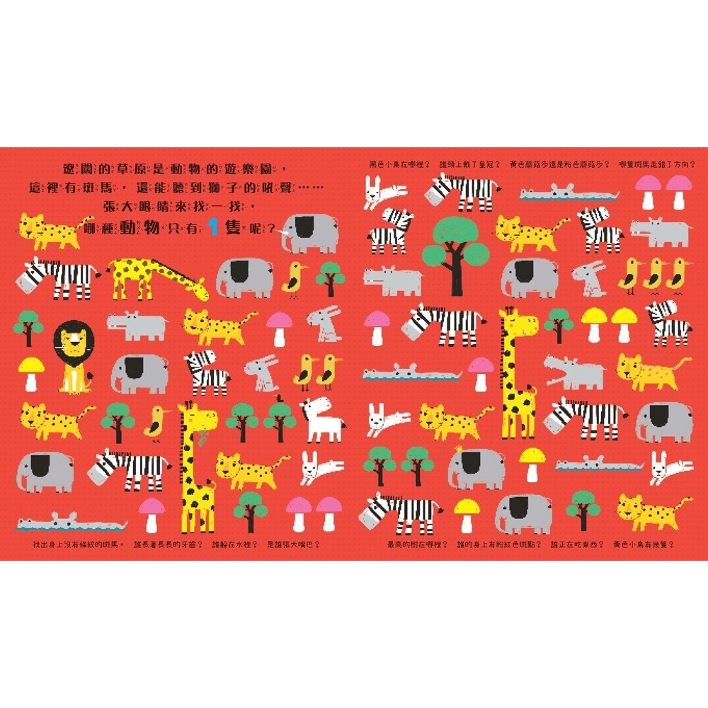 【樂在生活館】幼福 智能觀察力：思維尋找遊戲-細節圖5