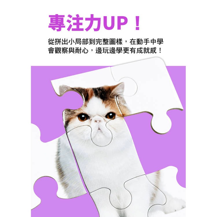 【樂在生活館】幼福 Baby’s動腦小拼圖系列：-細節圖6