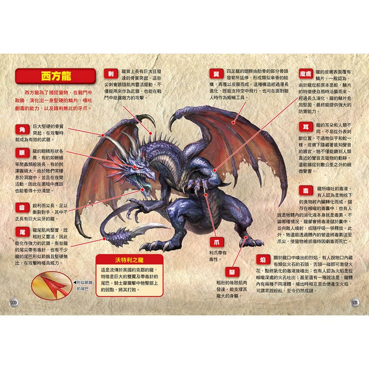 【樂在生活館】幼福 圖解大事典系列-龍界最強傳說-細節圖7