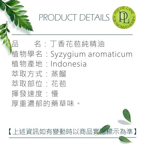 PL 丁香花苞純精油 10-250ml。Clove Bud。Psyche Lane-細節圖3