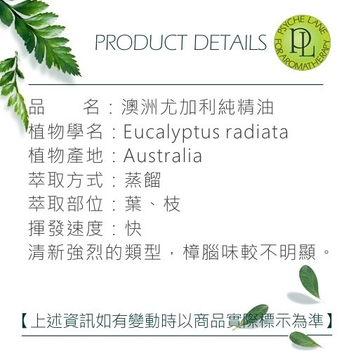 PL 澳洲尤加利純精油 10-250ml。Eucalyptus Radiata。Psyche Lane-細節圖3