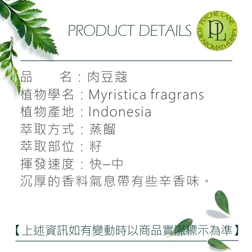 PL 肉豆蔻純精油 10-250ml。Nutmeg。Psyche Lane-細節圖3