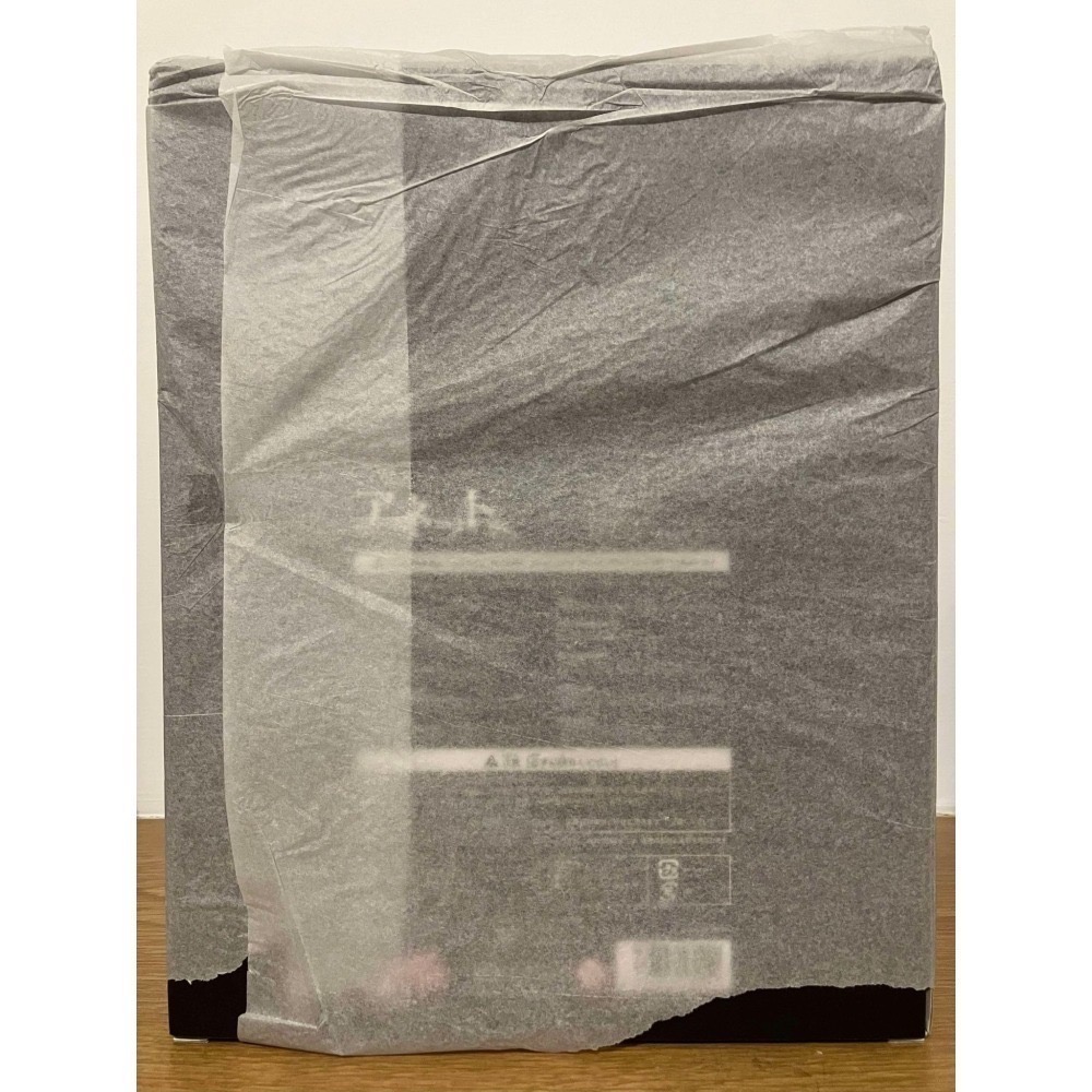 ⋐HJ㍿⋑ 全新現貨 Native限定 Rocket Boy 葵渚 隔壁家的安妮特桑 安妮特 1/6 PVC-細節圖3