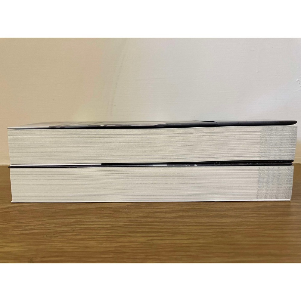 ⋐HJ㍿⋑ 全新現貨 日文小說 尼爾 人工生命 NieR Replicant《ゲシュタルト計畫回想錄》File01/02-細節圖5