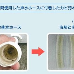 日本製 MIYAMOTO 宮本製作所 高純度鎂 抗菌除臭三合一潔衣片 洗衣 除臭 可用300回＊db小舖＊-細節圖5