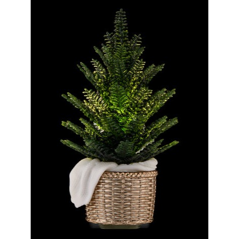 Bath & Body Works 插電式夜燈造型基座(松樹盆栽) BBW＊db小舖＊-細節圖2