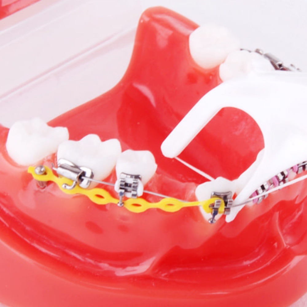 韓國 WEDENT 威登 成人攜帶式牙線棒(直式)(顏色隨機) 矯正牙齒者適用 薄荷 木醣醇＊恩恩選物＊-細節圖3