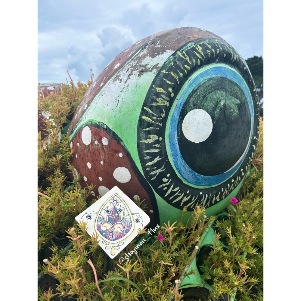 Aaliyah’s Picks🐽好物小筑《客訂》-規格圖1