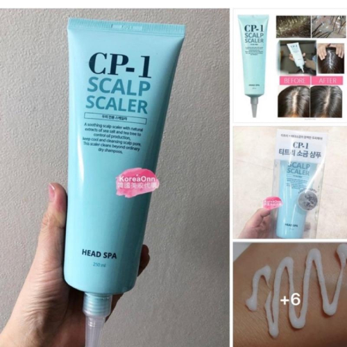 現貨 🔥 韓國 CP-1 CP1 茶樹海鹽頭皮去角質調理洗髮乳 茶樹精油海鹽洗髮膏 Scalp Head  SPA