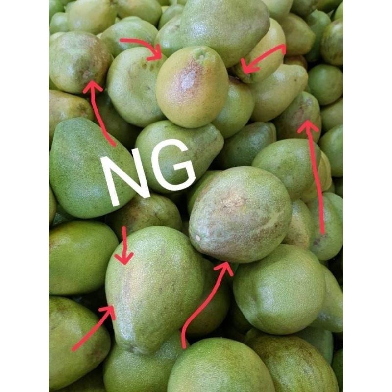 2025年 完售 請勿下單 NG 自用果 超醜皮花果 出清 鶴岡文旦 花蓮瑞穗鄉 35～44年老欉 文旦 免運中-細節圖2