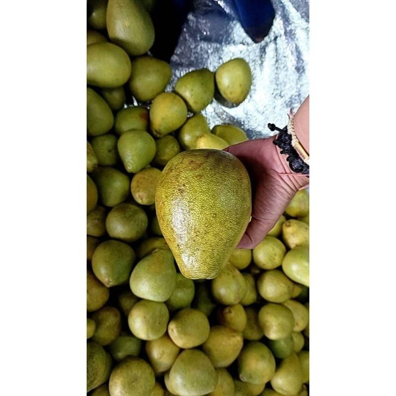 鶴岡文旦 #已售完 勿下單 #皮花 35-43年的老欉文旦 一箱9-12顆-細節圖6