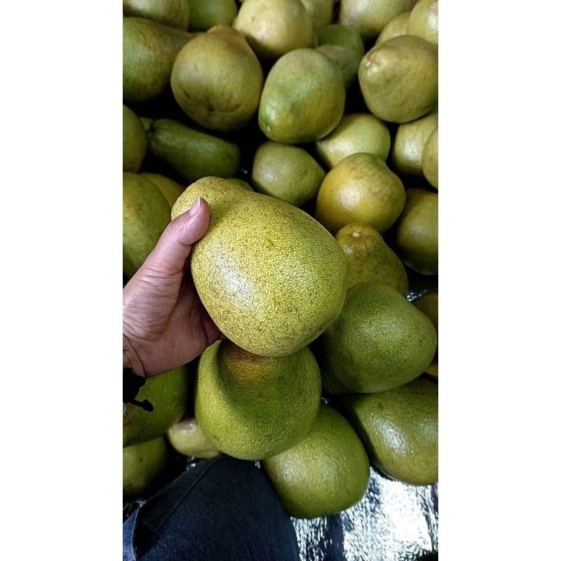 鶴岡文旦 #已售完 勿下單 #皮花 35-43年的老欉文旦 一箱9-12顆-細節圖7