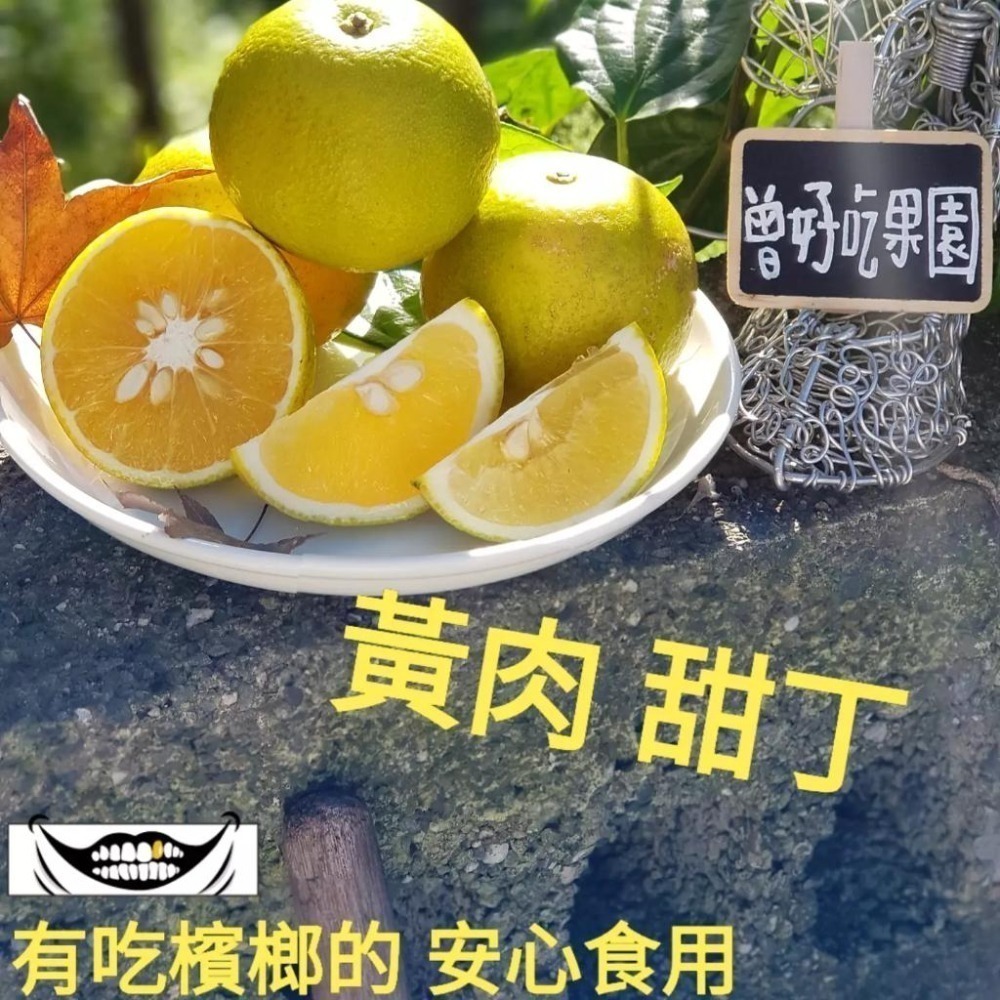 完售  紅肉🌹/黃肉🌻  #甜丁 #糖橙 #甜橙 #阿婆橙 #無酸橙 #蜜橙 #血橙 👑#免運 完全無酸 多汁清甜-細節圖2