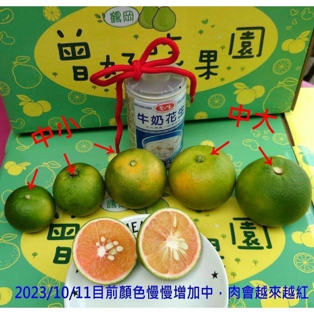 完售  紅肉🌹/黃肉🌻  #甜丁 #糖橙 #甜橙 #阿婆橙 #無酸橙 #蜜橙 #血橙 👑#免運 完全無酸 多汁清甜-細節圖4