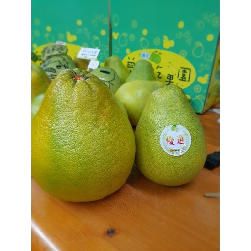 #已售完 勿下單 大果20台斤 免運貨鶴岡文旦花蓮 43年老欉　自產自銷 現貨-細節圖2