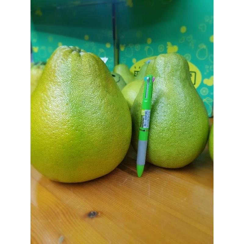 #已售完 勿下單 大果20台斤 免運貨鶴岡文旦花蓮 43年老欉　自產自銷 現貨-細節圖3