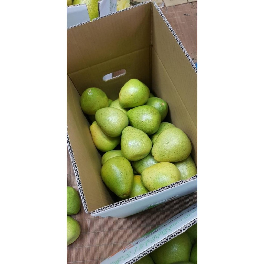 #已售完 勿下單 大果20台斤 免運貨鶴岡文旦花蓮 43年老欉　自產自銷 現貨-細節圖7
