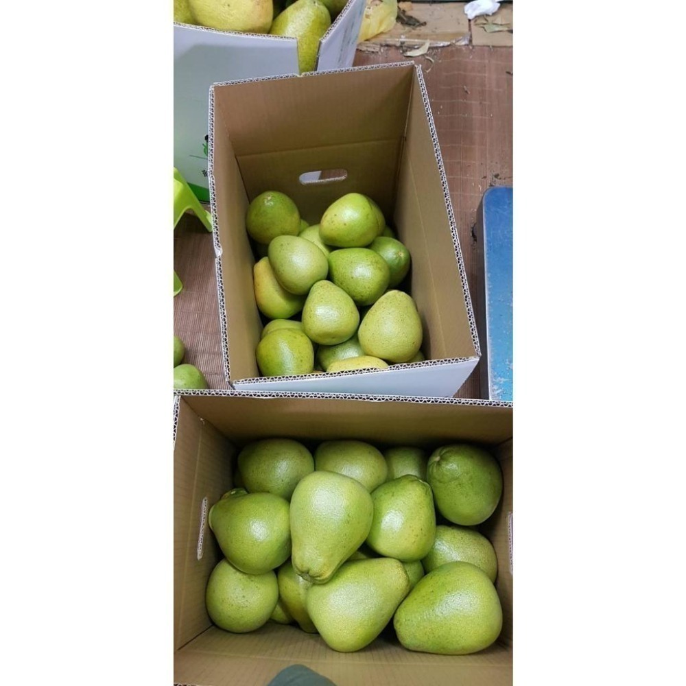 2025年 完售🍐 #鶴岡文旦 #一箱10斤12-14顆  #文旦禮盒 35-44年 #老欉文旦 #柚子 #曾好吃果園-細節圖6