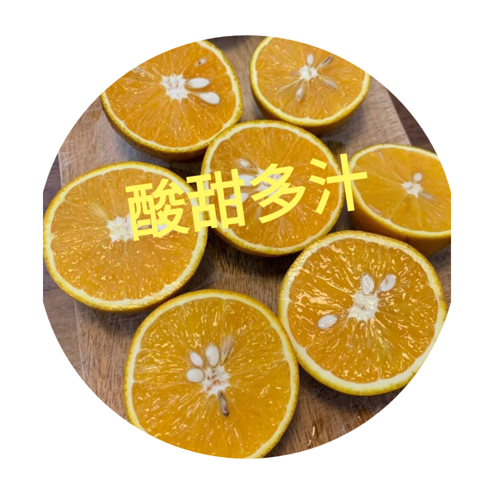 完售 勿下單 曾好吃果園 晚崙西亞 香丁 香橙-細節圖4