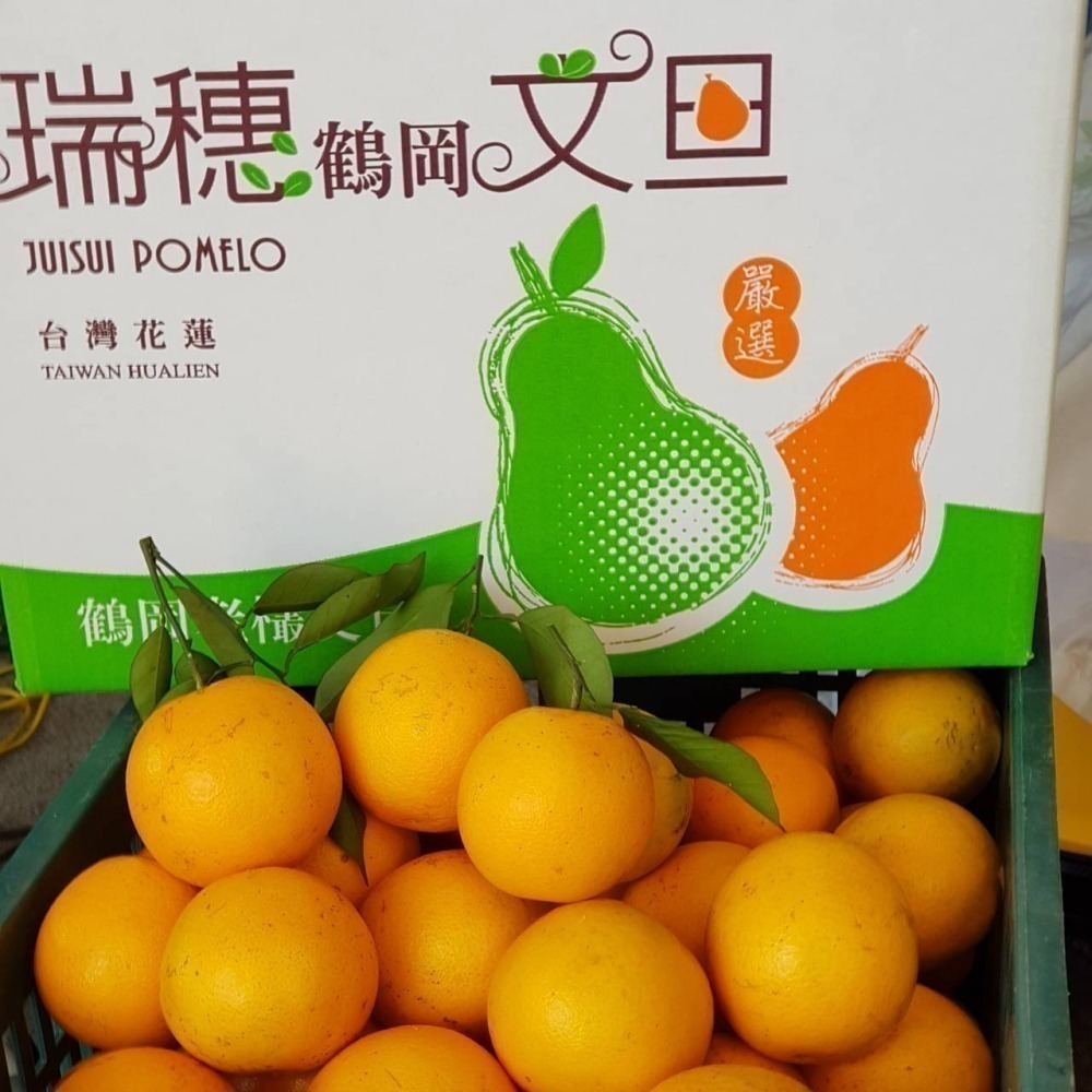 完售 勿下單 曾好吃果園 晚崙西亞 香丁 香橙-細節圖9