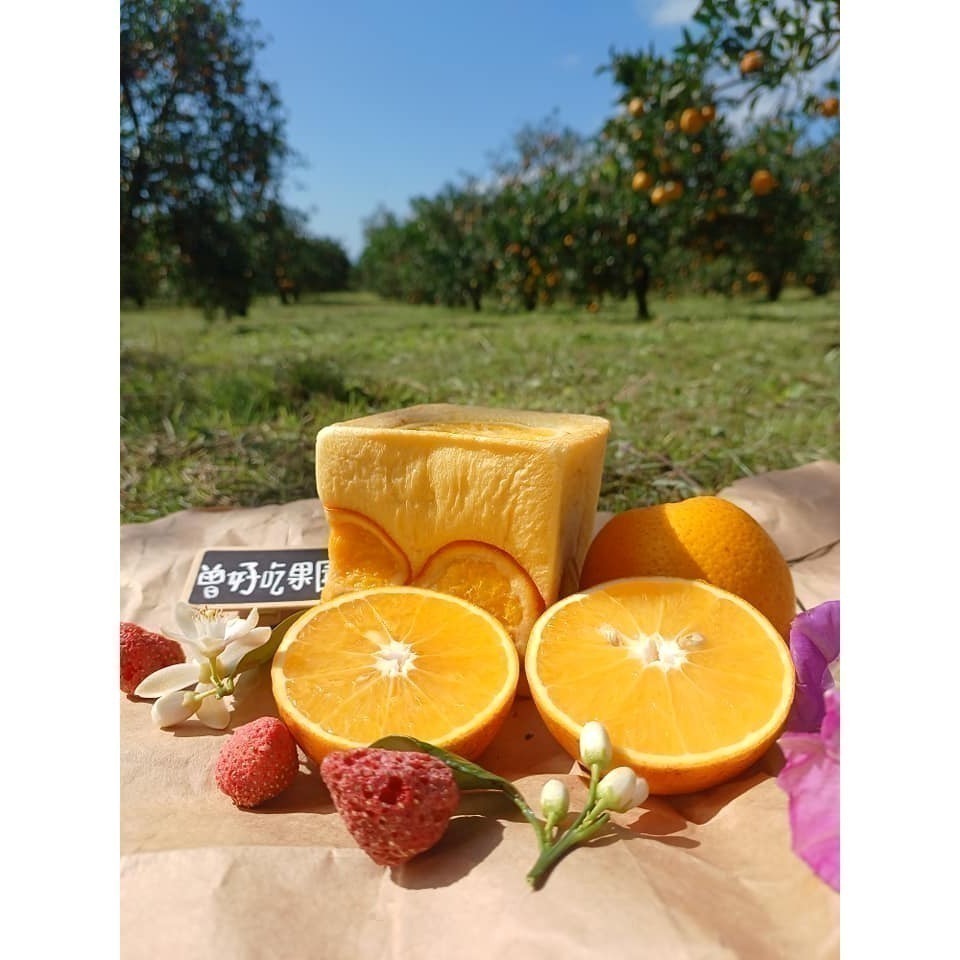 完售 勿下單 曾好吃果園 晚崙西亞 香丁 香橙-細節圖10