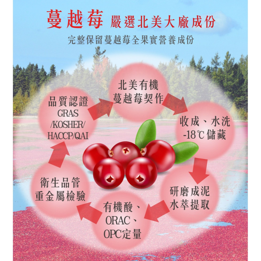 【日濢Tsuie】雙效蔓越莓+維生素C100mg口嚼錠(30錠/包)-細節圖6