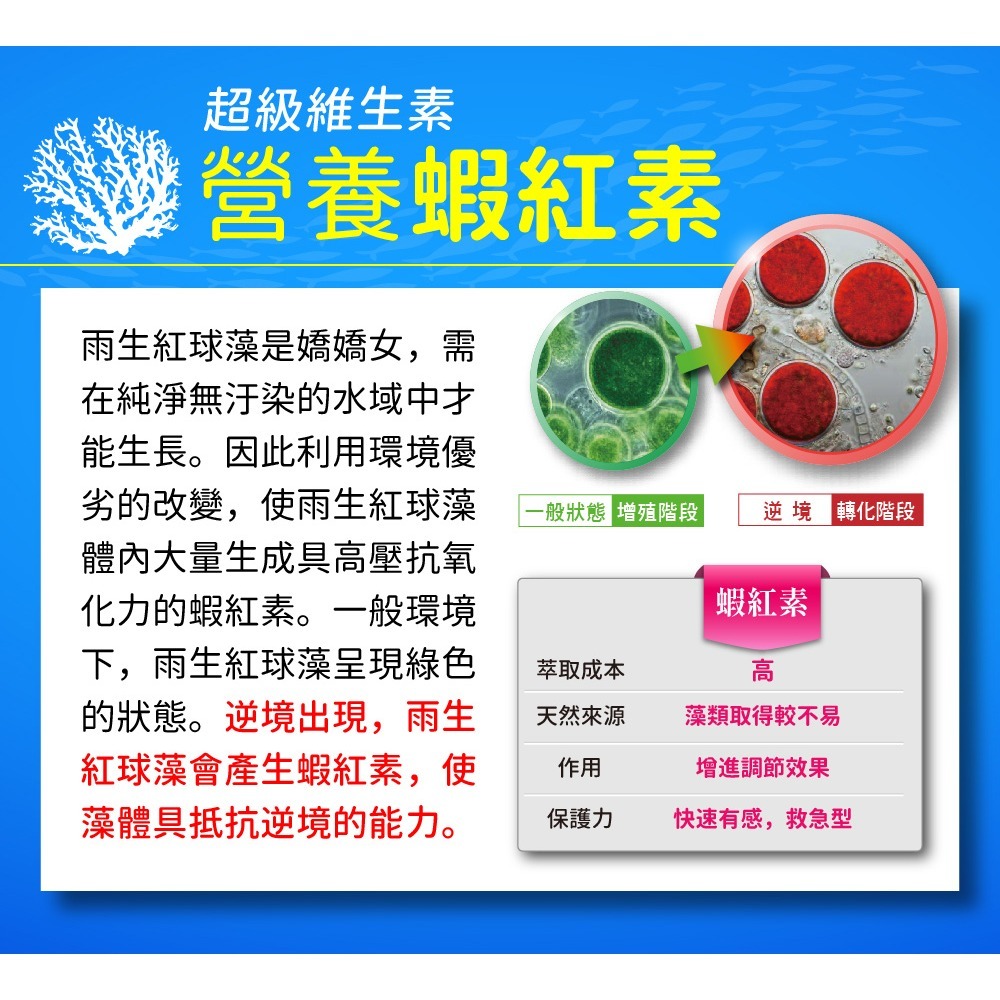 【日濢Tsuie】全效蝦紅素TG魚油(30顆/盒)-細節圖7