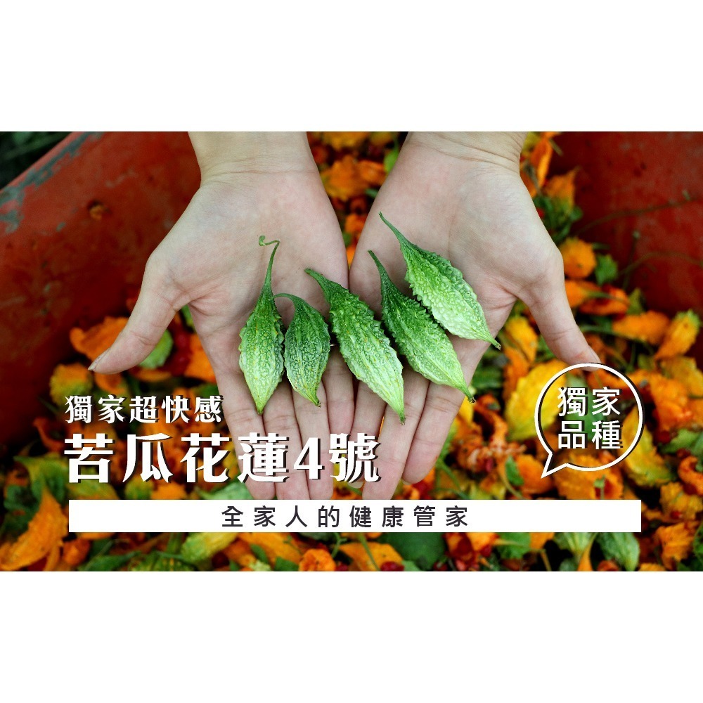 【日濢Tsuie】高倍胺基酸紅石榴(30顆/包)-細節圖5