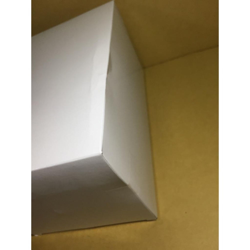 日版 AMP 初音未來 初音 Birthday 2024 Flower  遊藝場限定 正版 公仔 景品  TAITO-細節圖8