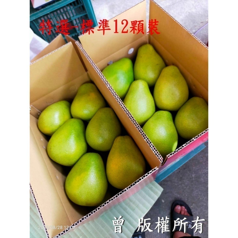 ✨2025全數售完✨鶴岡文旦 花蓮瑞穗 43年老欉 產地小農 生產追溯 送驗合格農產品 非麻豆 柚子 曾好吃果園-阿妃-細節圖4