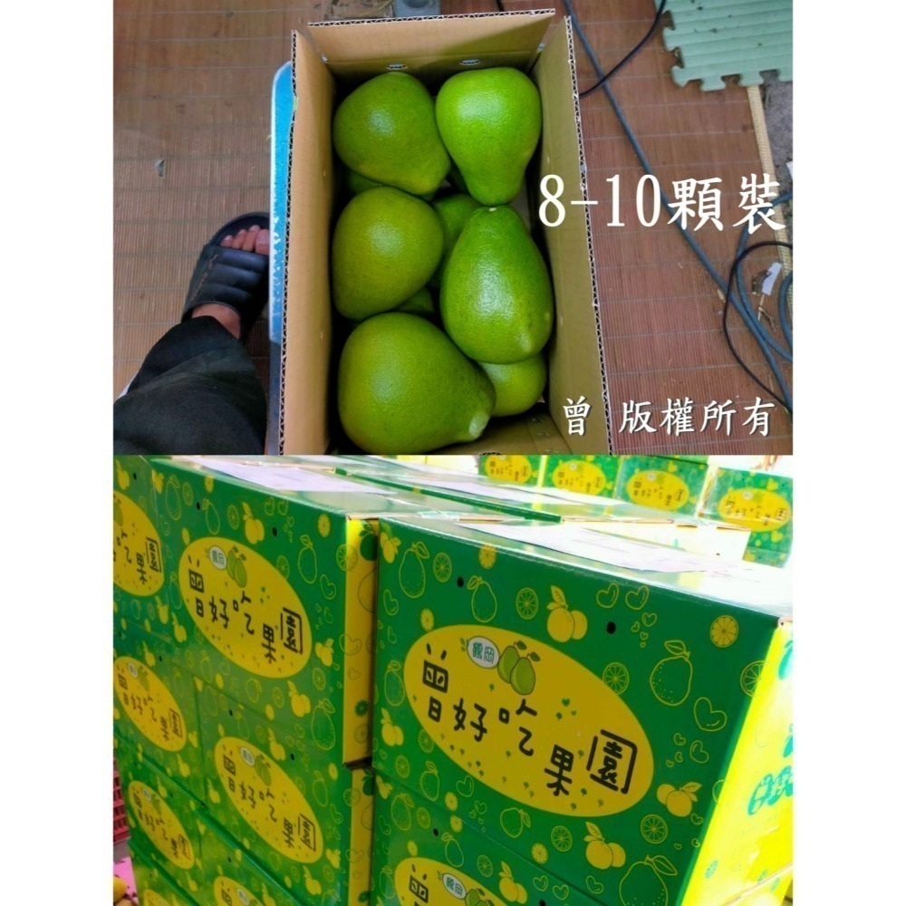 ✨2025全數售完✨鶴岡文旦 花蓮瑞穗 43年老欉 產地小農 生產追溯 送驗合格農產品 非麻豆 柚子 曾好吃果園-阿妃-細節圖5