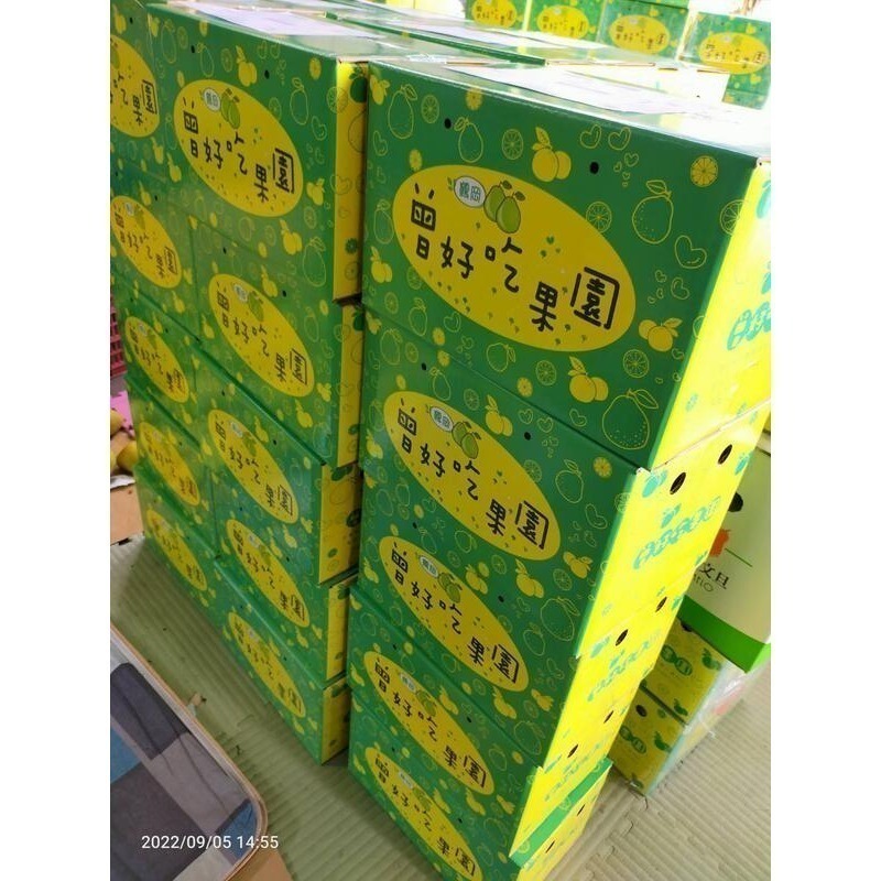 ✨2025全數售完✨鶴岡文旦 花蓮瑞穗 43年老欉 產地小農 生產追溯 送驗合格農產品 非麻豆 柚子 曾好吃果園-阿妃-細節圖6