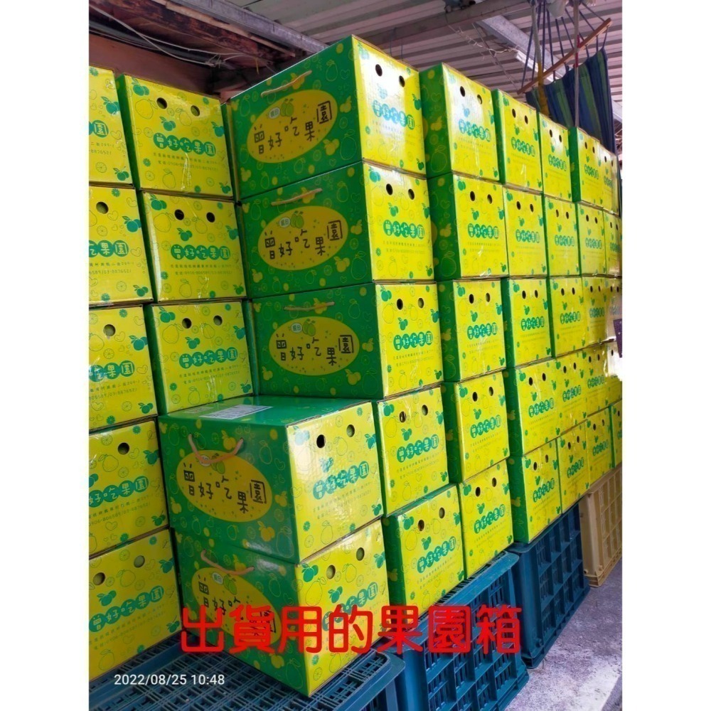 ✨2026預購中🍊 香丁 🍊晚崙西亞橙 Valencia 台灣香吉士 現採出貨 在欉紅 檢驗合格 自產自銷-細節圖10