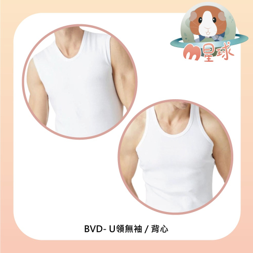 【BVD】100%純棉背心/U領無袖 三種尺寸可挑選