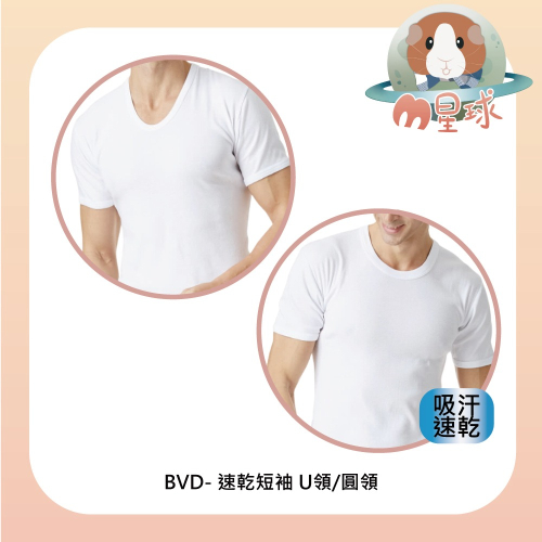 【BVD】速乾U領/圓領短袖 三種尺寸可挑選 吸濕排汗 BVD內衣