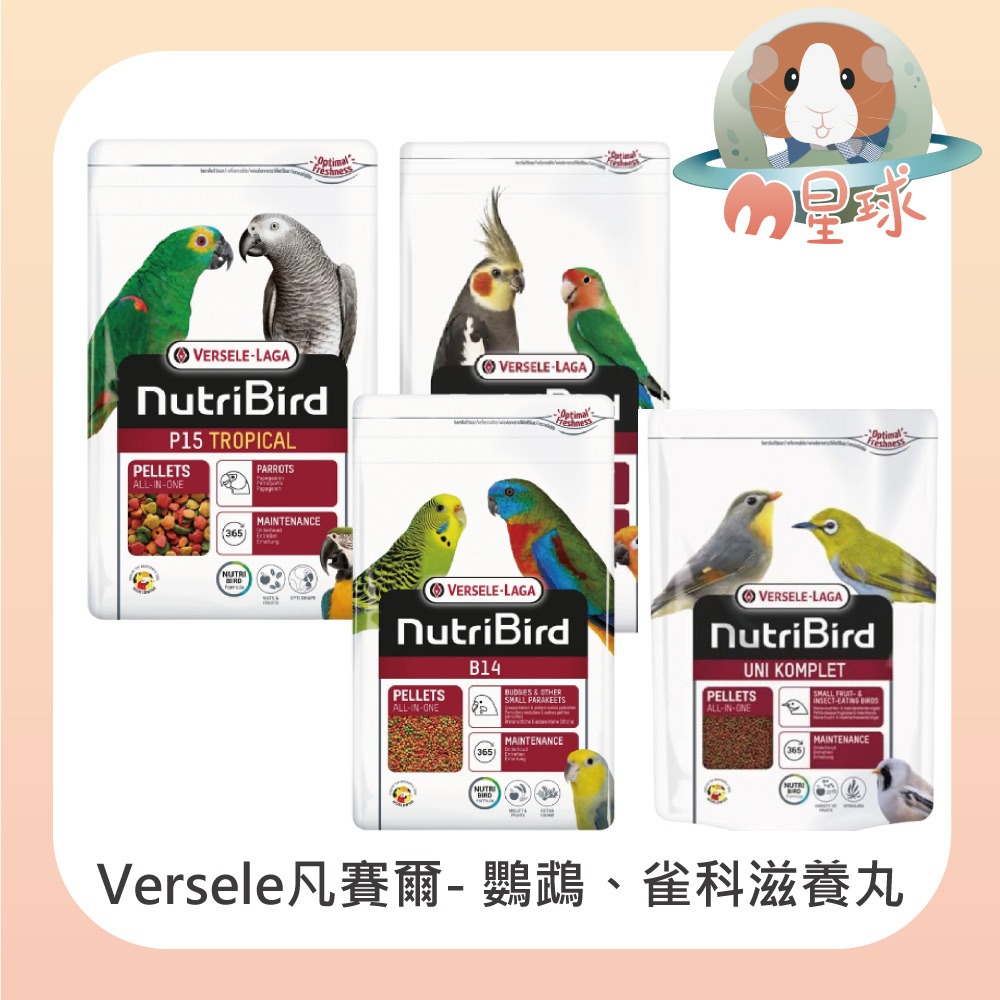 【凡賽爾】鸚鵡 雀科 機能滋養丸 P15 B14 G14 鸚鵡主食 鸚鵡飼料 雀科鳥類