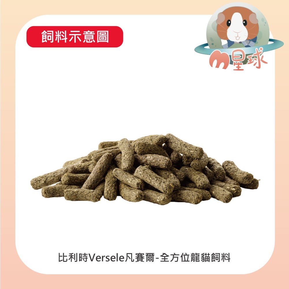 【凡賽爾】全方位 龍貓飼料  500g  龍貓 絲絨鼠-細節圖2