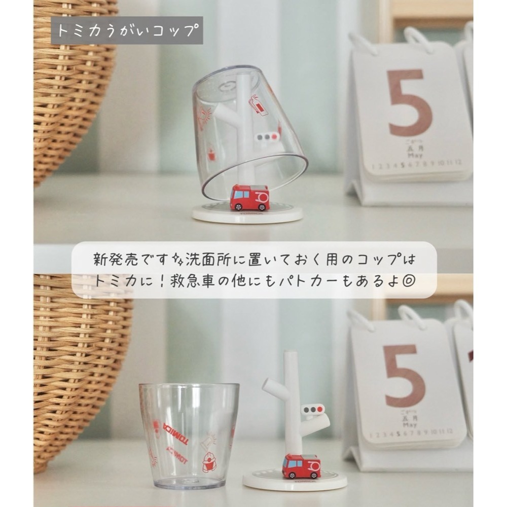 日本Hashy  Tomica迷你漱口杯及漱口架-細節圖3